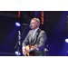 Steve Harley